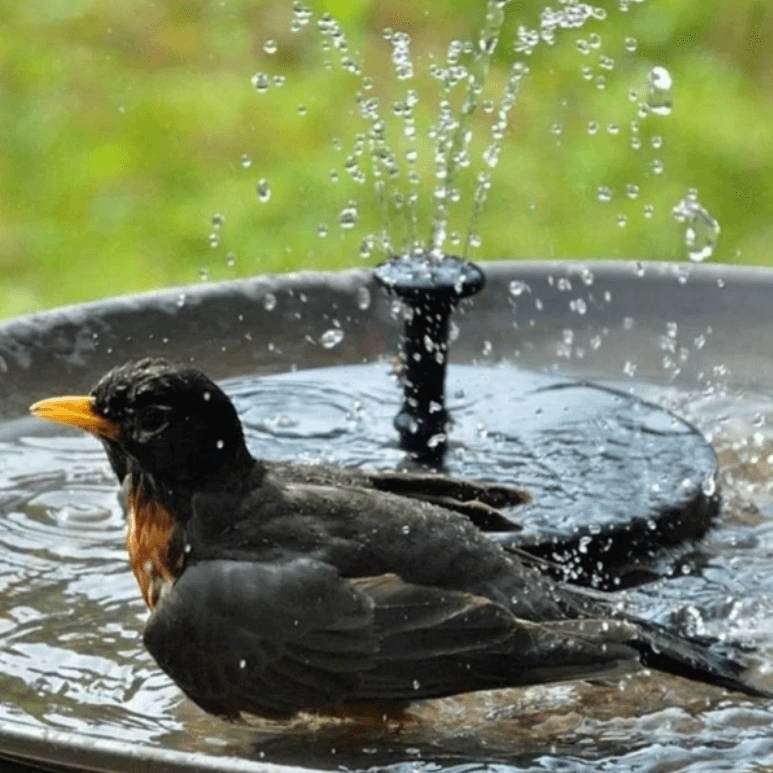 Fontaine solaire élégante | Fontaine à eau à énergie solaire avec jet réglable | Conception écologique pour une sérénité en extérieur