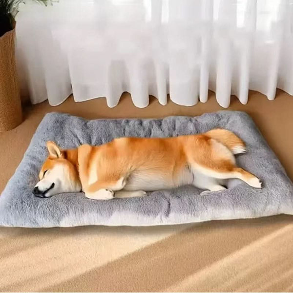 CLOUDPAWS – Plush Extra Large Pet Bed Mat