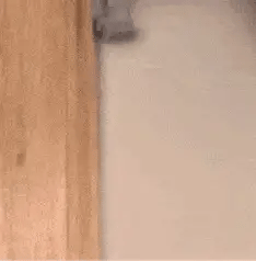 Outil de précision pour bordures de peinture pour une finition rapide et impeccable