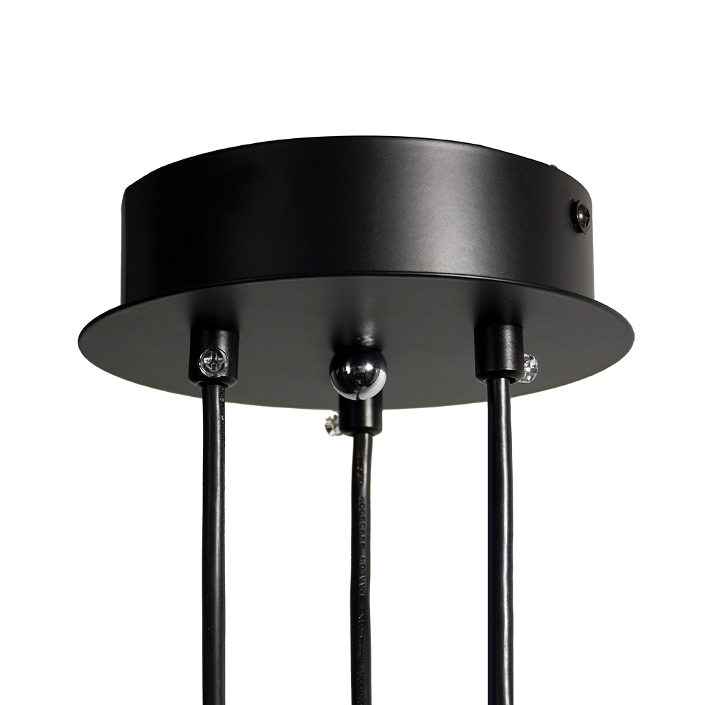 Ceiling Pendant Light Fixture with Adjustable Heads and Cable, 10W LED Dimmable Hanging Lamp, Black Aluminum Modern Lighting for Kitchen Isl
