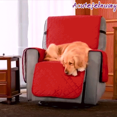 Housse de fauteuil relax universelle Ortekor avec design monobloc | Protège contre les taches et les poils d'animaux
