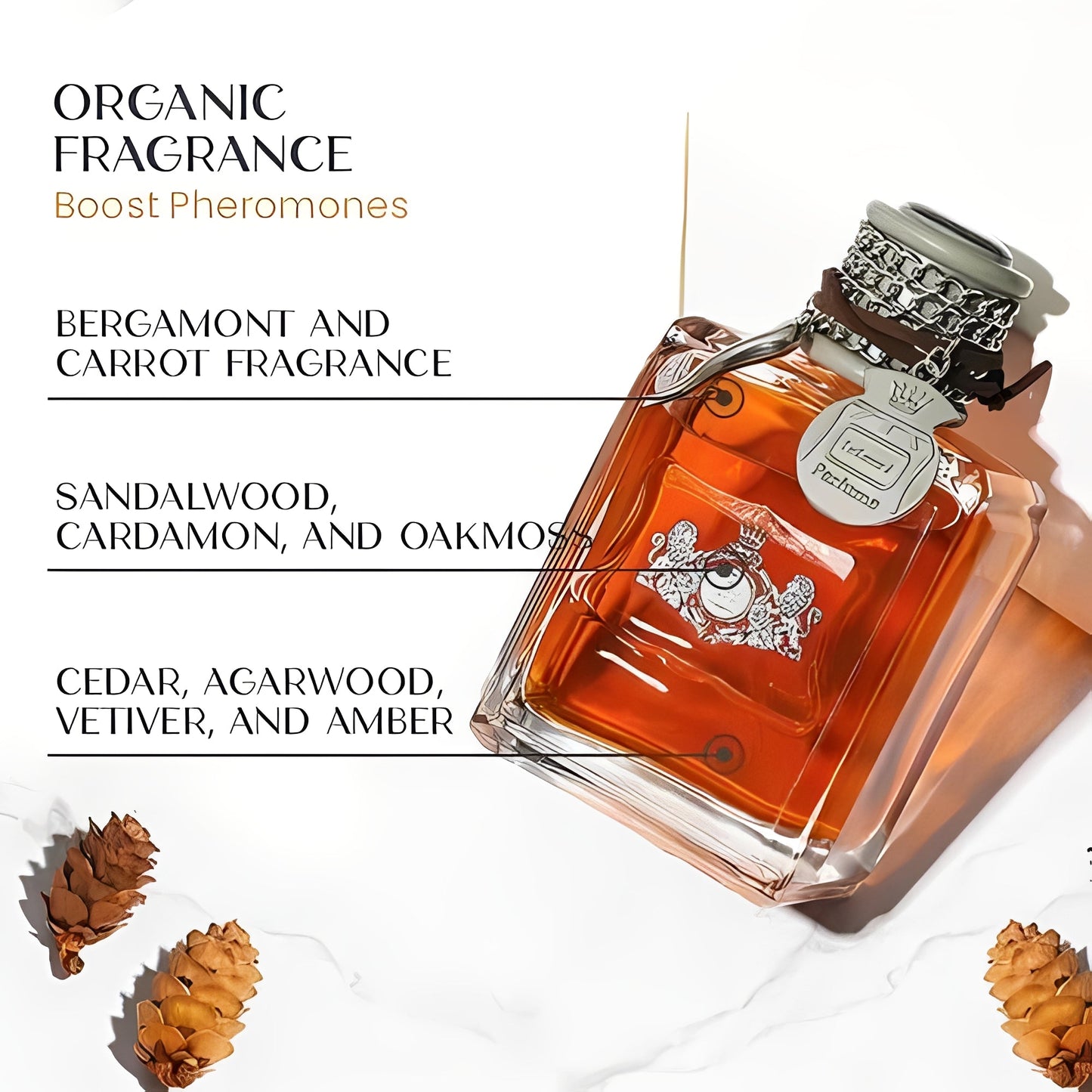 Vaporisateur de Cologne Quotidienne Attrayante pour Hommes