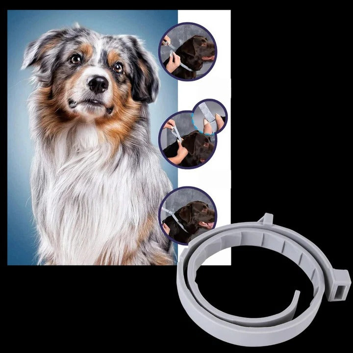 Collier anti-tiques et puces efficace pour animaux de compagnie