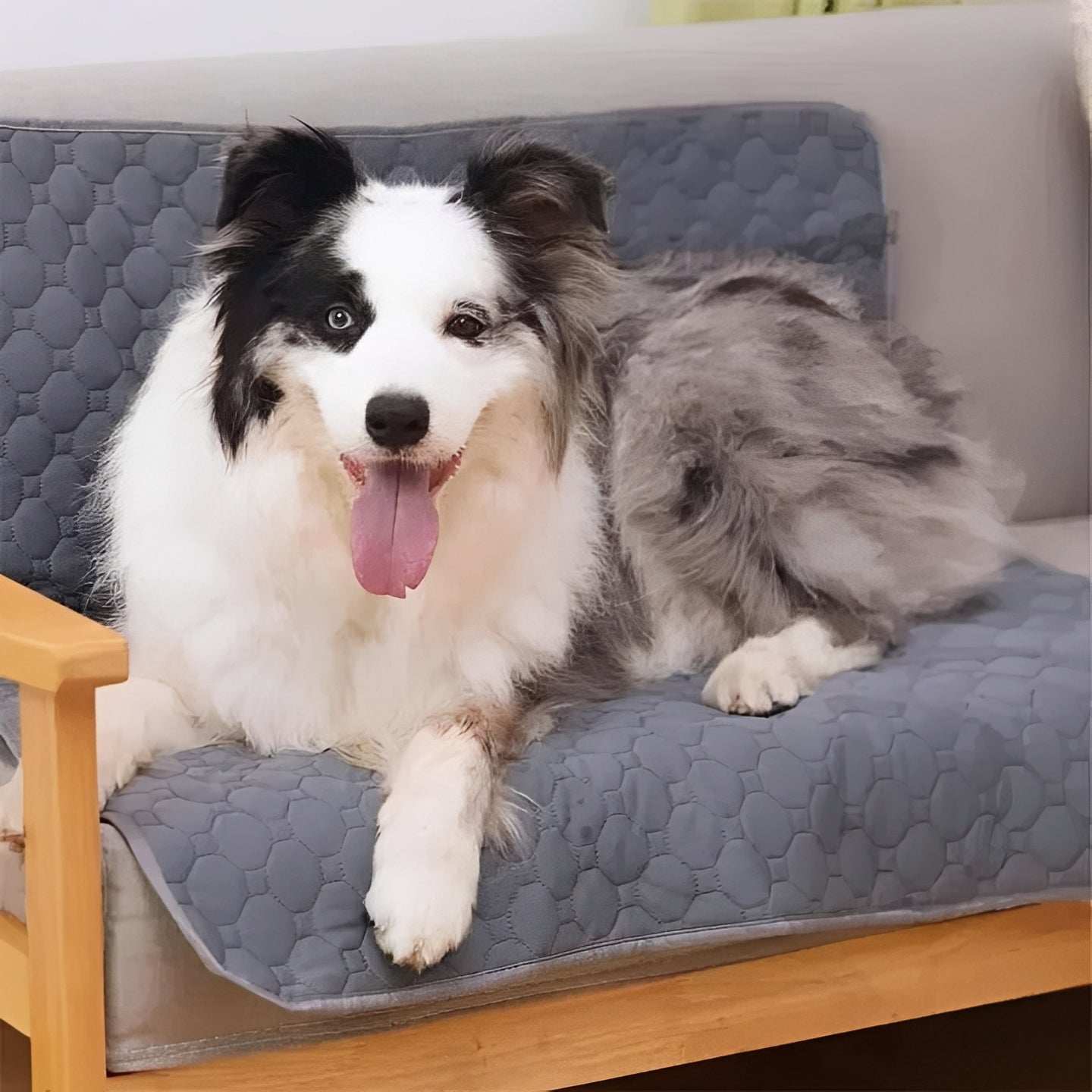 Alèses d'apprentissage pour chiots pour les petits accidents de votre chien à l'intérieur