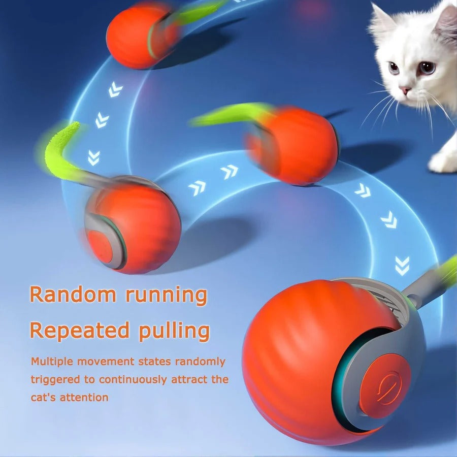 Jouet Interactif Automatique pour Chat avec Plume, Lot de 2