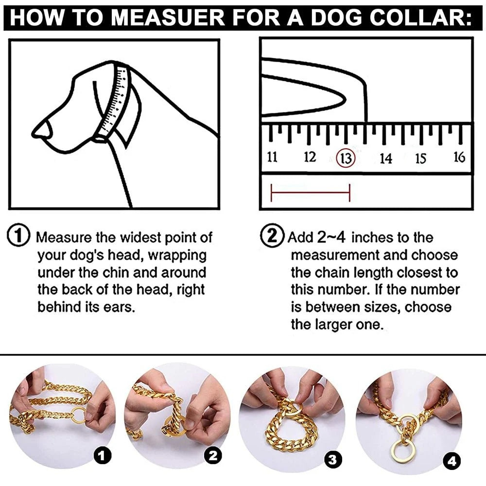 Collier chiot en métal durable, plusieurs couleurs disponibles
