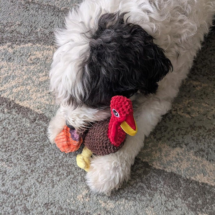 Jouet pour chien Strong Teddy Guard