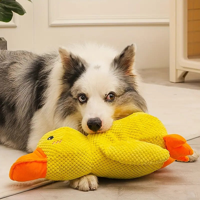 Jouet pour chien en caoutchouc résistant Canard