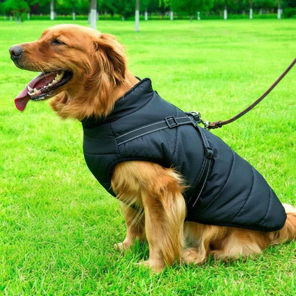 Manteau isolant chaud pour chien avec polaire et harnais intégré