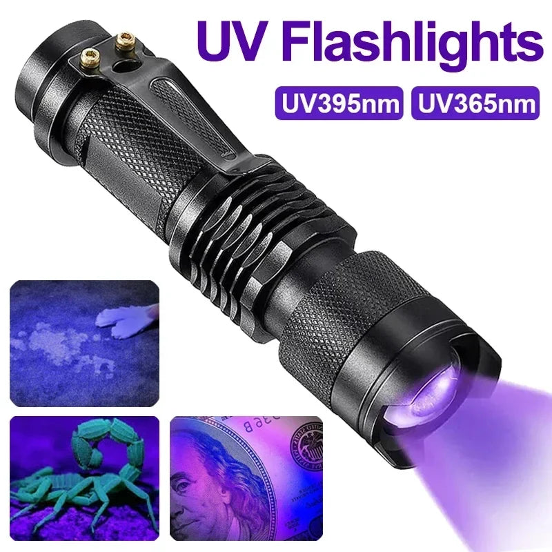 Ultraviolet Flashlight for Pet Stain Detection | UV Blacklight Torch for Carpet & Floor Inspection | Aluminum Handheld Light for Home & Prof