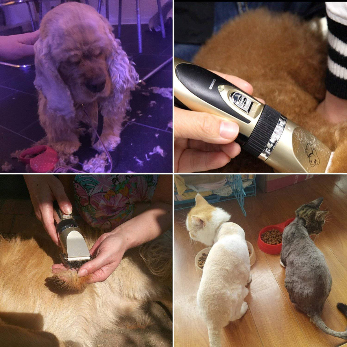 Wearclo | Tondeuse professionnelle rechargeable pour animaux avec fonctionnement silencieux | Outil de toilettage sans fil pour un soin des animaux sans stress