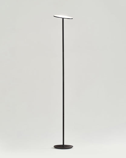 Adjustable LED Standing Lamp with Dimmer for Home Office & Lounge, Modern Metal Uplight with Directional Head for Bedroom Reading Corner Tas
