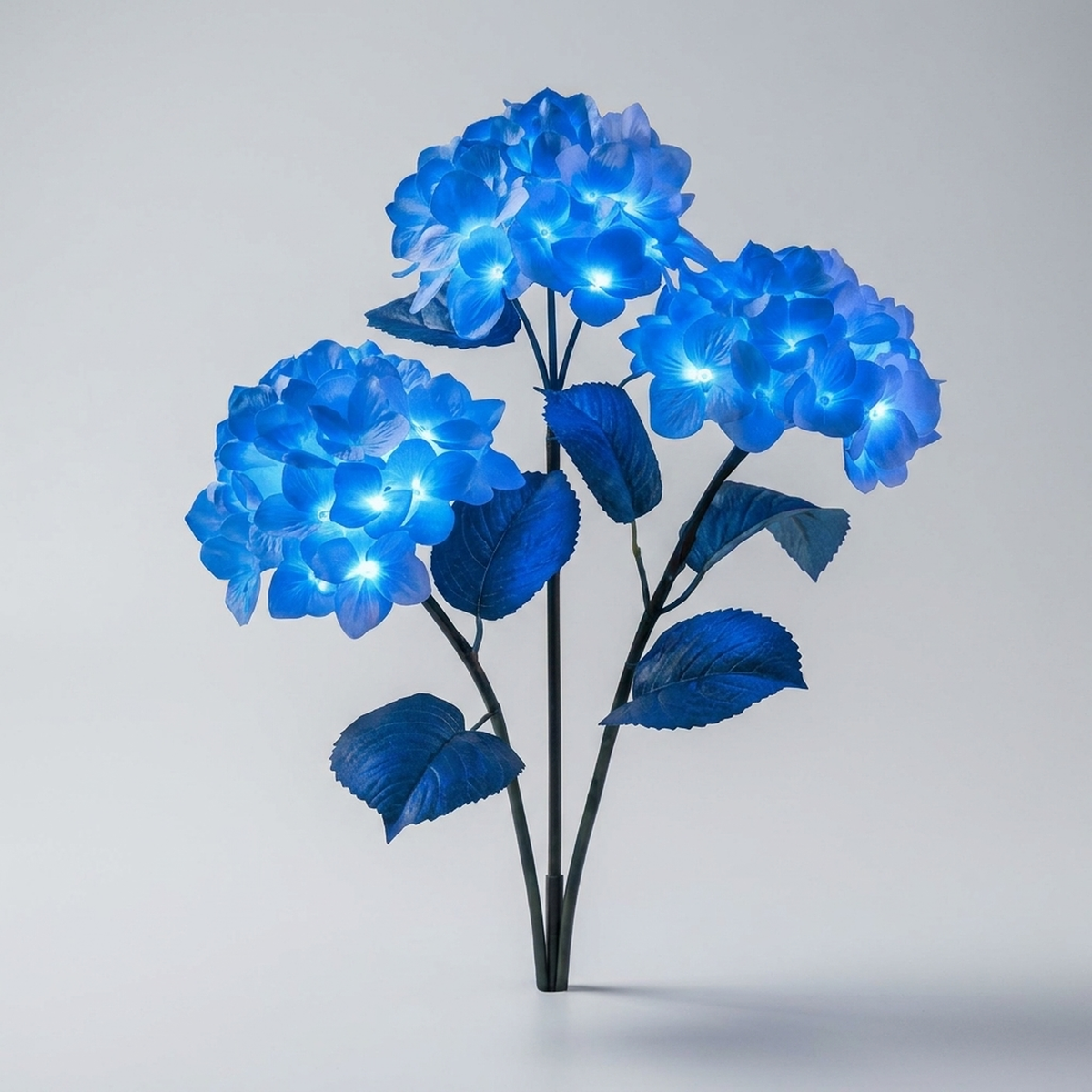HYDRASHINE – Lampes solaires florales pour un éclat extérieur radieux