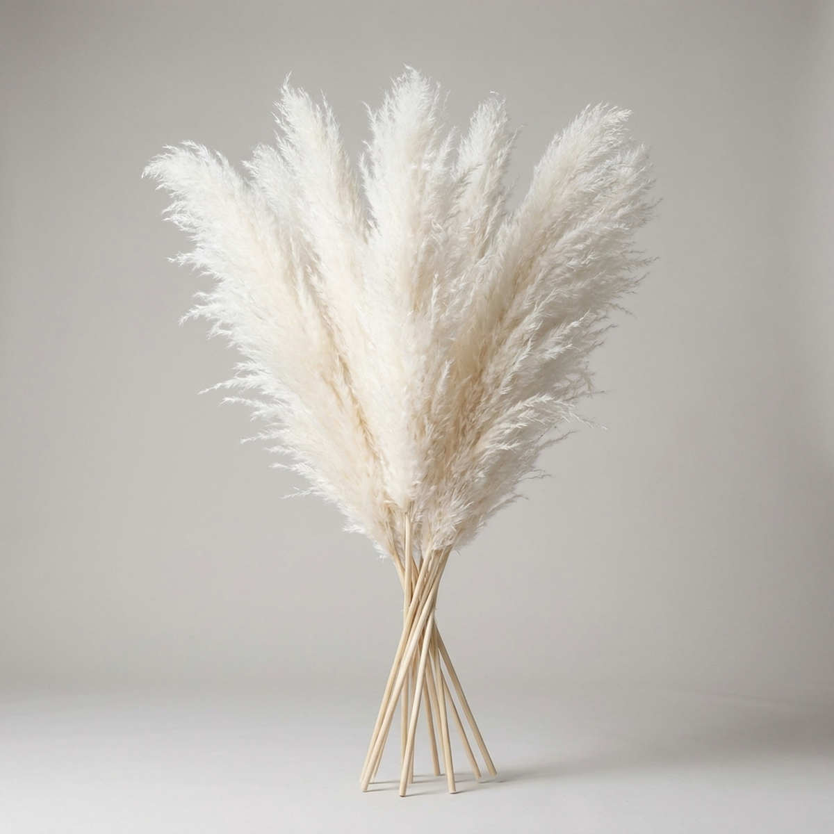 PLUMENEST – Pampas Grass Stems for Cozy Decorative Character