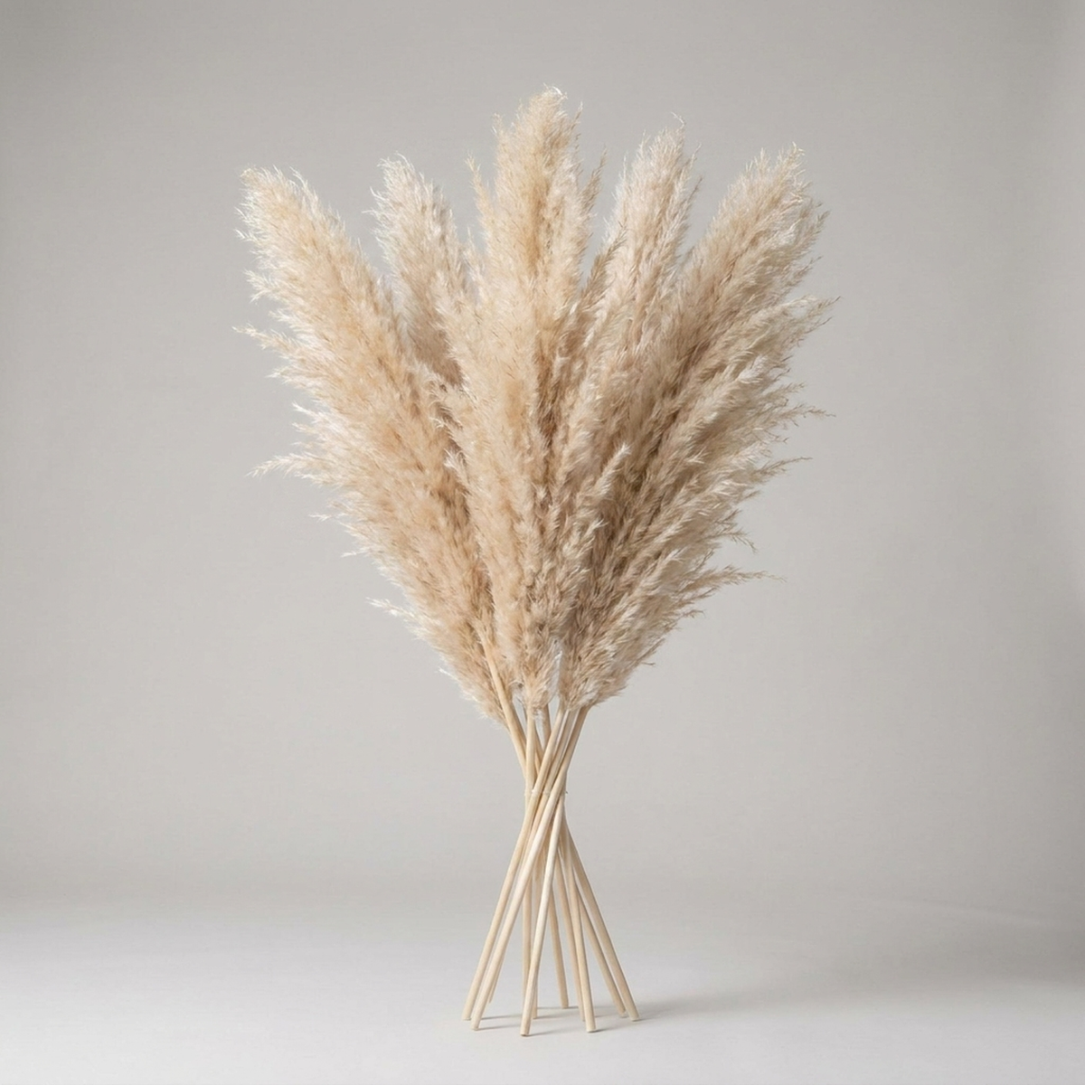 PLUMENEST – Pampas Grass Stems for Cozy Decorative Character