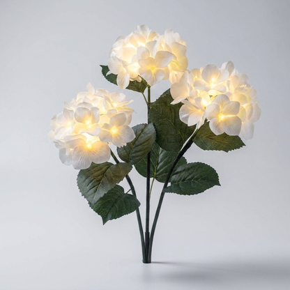 HYDRASHINE – Lampes solaires florales pour un éclat extérieur radieux