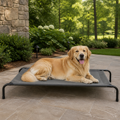 Ortekor Cooling Breathable Mesh Elevated Dog Bed