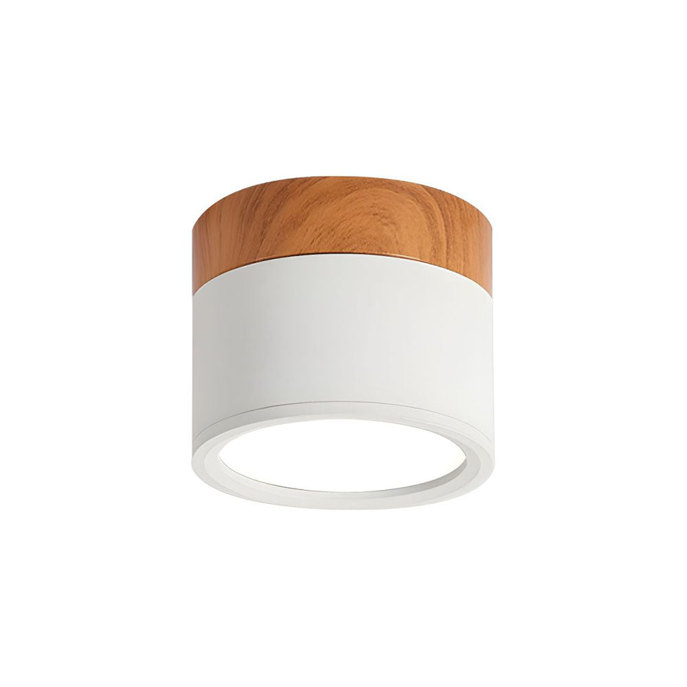 Flush Mount LED Ceiling Spot Light – Modern Aluminum Cylinder Downlight for Hallways, Bedrooms & Living Rooms – Ultra-Slim Recessed Style