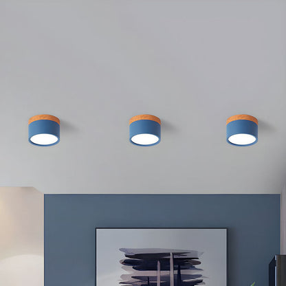 Flush Mount LED Ceiling Spot Light – Modern Aluminum Cylinder Downlight for Hallways, Bedrooms & Living Rooms – Ultra-Slim Recessed Style