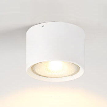 Adjustable Cylinder Spotlight – Surface Mount LED Ceiling Light – Directional Accent Fixture for Living Room, Hallway & Kitchen – Modern