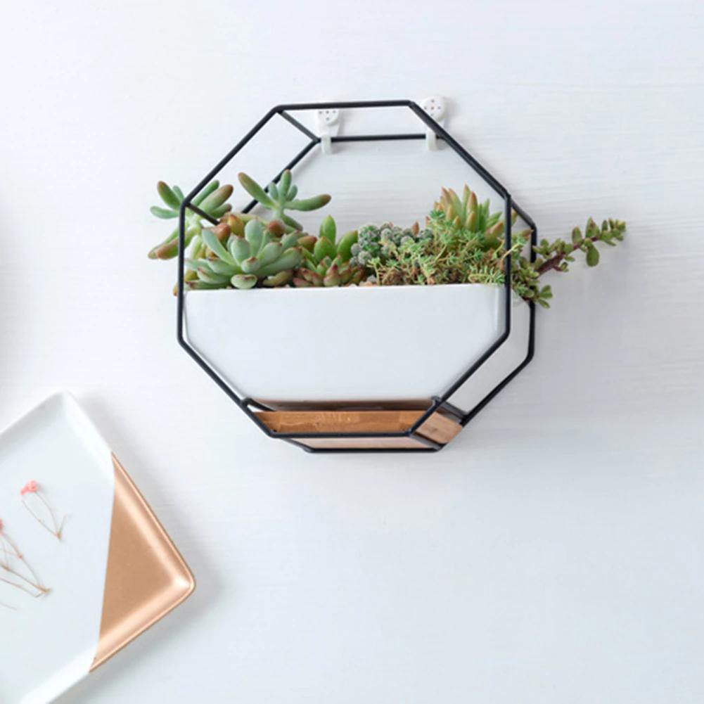 Hexa Frame Wall Planter