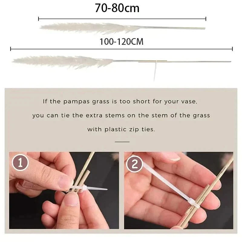 PLUMENEST – Pampas Grass Stems for Cozy Decorative Character