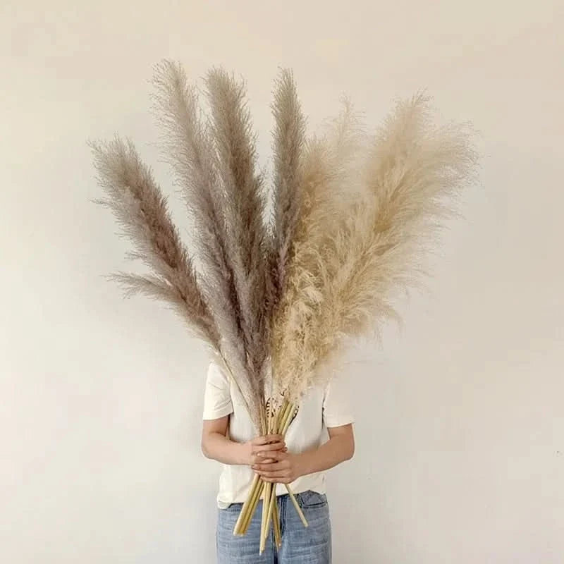 PLUMENEST – Pampas Grass Stems for Cozy Decorative Character
