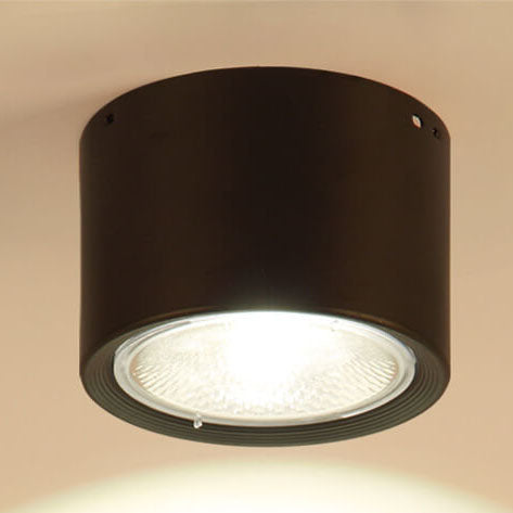 Low-Profile LED Ceiling Light 4.7 in Round Fixture 12W Contemporary Overhead Lighting for Bedrooms Hallways Home & Office Compact Surface-Mo