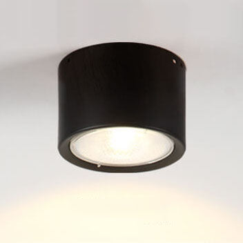 Adjustable Cylinder Spotlight – Surface Mount LED Ceiling Light – Directional Accent Fixture for Living Room, Hallway & Kitchen – Modern