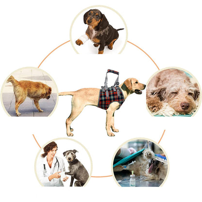 Rear Leg Support Harness for Dogs – Adjustable Lift Sling for Hip Stability, Arthritis & Mobility Assistance