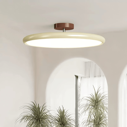 Swivel LED Flush Mount Ceiling Light 12 Inch Round Indoor Lamp Adjustable Directional Lighting for Bedroom Living Room Kitchen Dining Room T