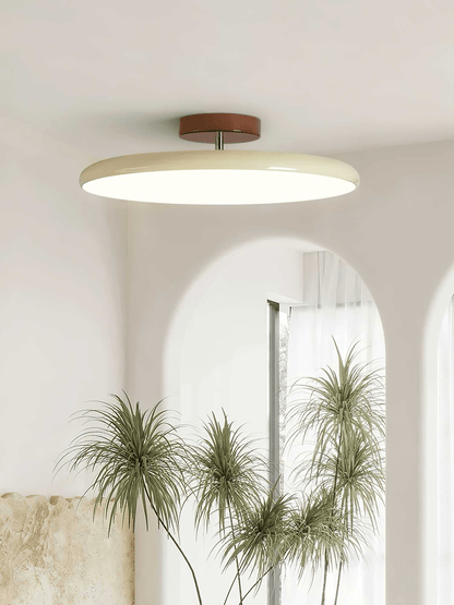 Swivel LED Flush Mount Ceiling Light 12 Inch Round Indoor Lamp Adjustable Directional Lighting for Bedroom Living Room Kitchen Dining Room T