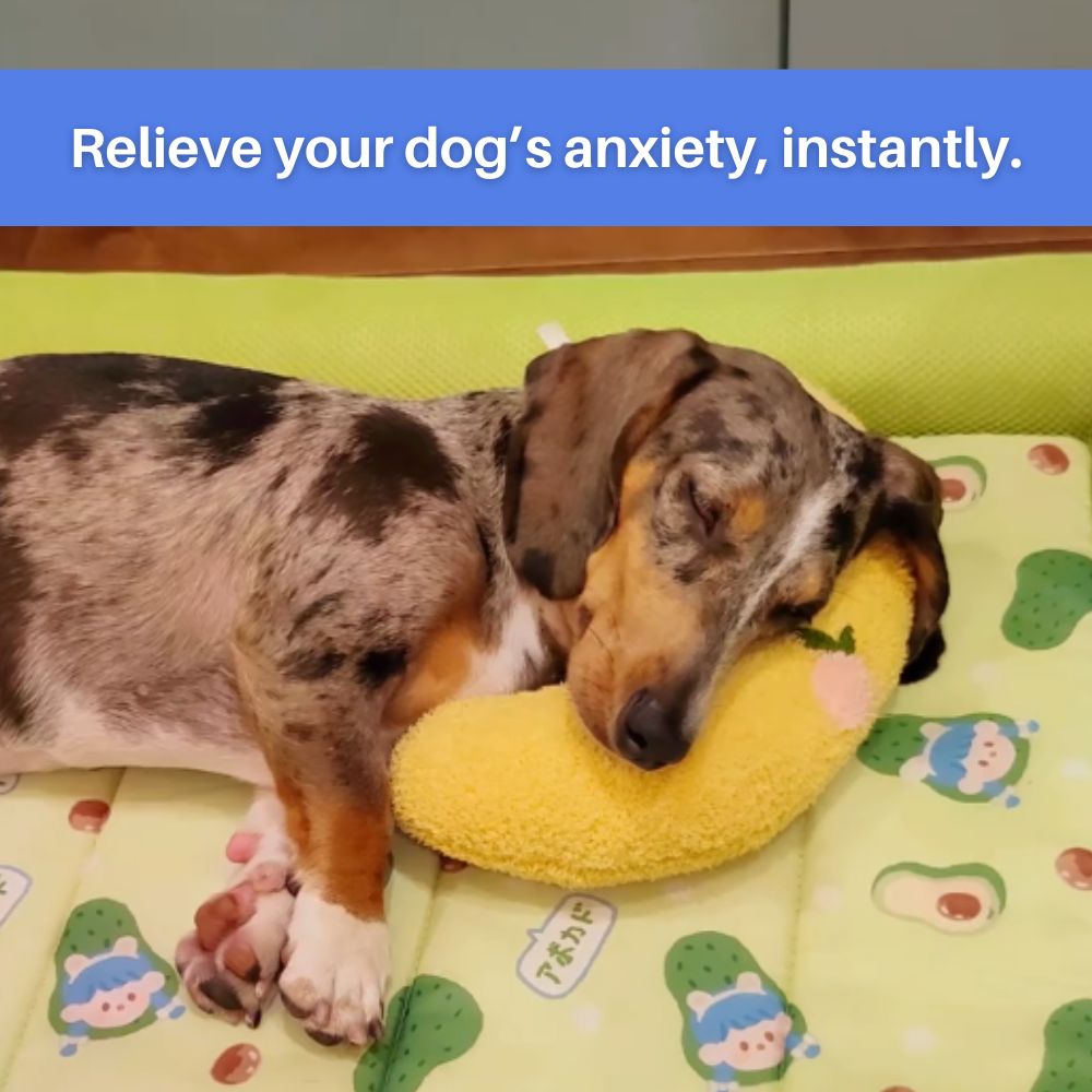 Bolstered Pet Bed for Dogs & Cats | Anxiety Relief Sleeping Cushion with Raised Edges | Machine Washable Portable Travel Pillow | Plush