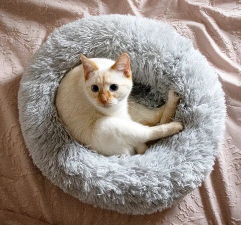 Round Raised-Edge Pet Bed with Plush Faux Fur Fill for Dogs & Cats