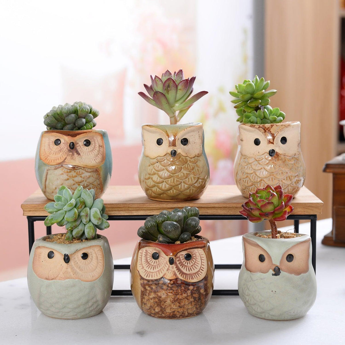 6-Piece Small Owl Ceramic Succulent Planter Pots