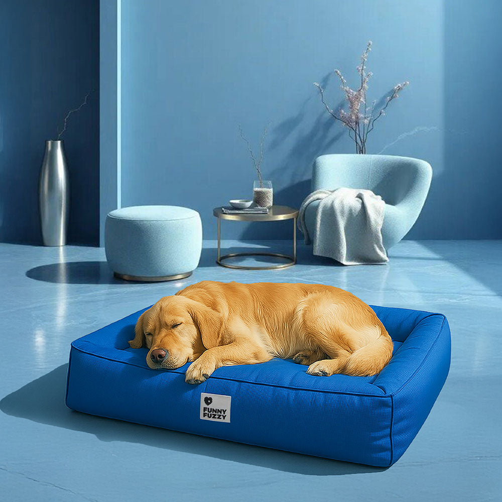 Raised-Edge Bolster Dog Bed with Joint-Relief Foam & Liquid-Proof Cover for Large Breeds