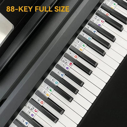 Removable Silicone Piano Key Note Labels for 88-Key Keyboards | Beginner Learning Aid with Staff Notation | Quick-Install Teaching Guide for Grand, Up