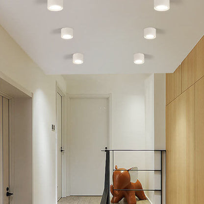Low-Profile LED Ceiling Light 4.7 in Round Fixture 12W Contemporary Overhead Lighting for Bedrooms Hallways Home & Office Compact Surface-Mo