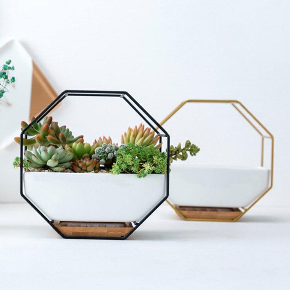 Hexa Frame Wall Planter