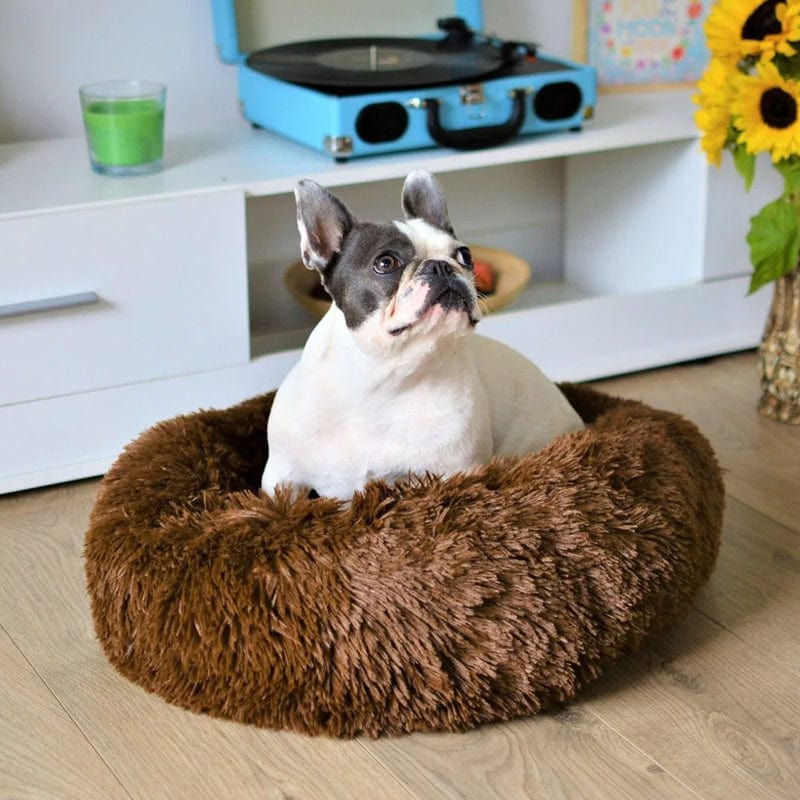Round Plush Pet Bed with Raised Rim for Dogs & Cats | Anti-Anxiety Donut Cushion for Small Medium Large Pets | Machine Washable