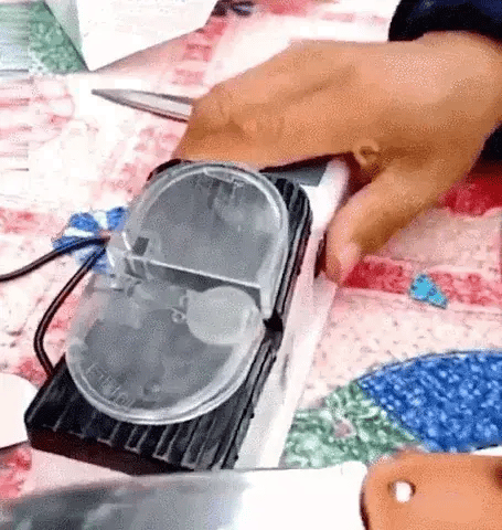 Automated Blade Sharpening Tool for Kitchen Knives, Two-Stage Honing System, Quick Edge Restoration for Chef & Utility Cutlery