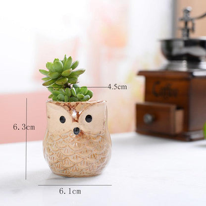 6-Piece Small Owl Ceramic Succulent Planter Pots
