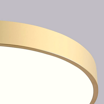 Round LED Ceiling Light Fixture Dimmable Modern Flush Mount for Living Room Bedroom Hallway Energy Efficient Lighting