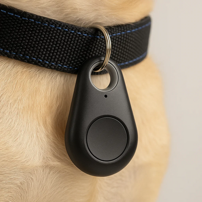 Localisateur portable avec alertes de périmètre pour enfants, animaux, sacs, voitures, appareil de suivi via application iOS/Android pour la sécurité de la famille en voyage