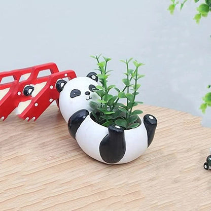 PANDABLOOM – Cute Panda Succulent Planter