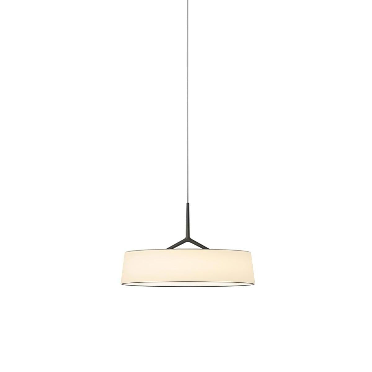Suspension luminaire LED en métal de 46 cm de diamètre avec cordon ajustable pour comptoir de cuisine et coin repas