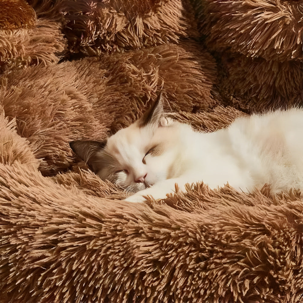 Felicity Paw Dog Bed - Plush Fabric, Raised Edges for Comfort