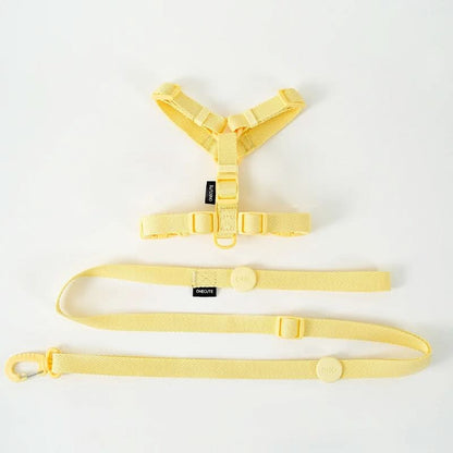 PAWGLEAM – Reflective Pet Harness Leash Set