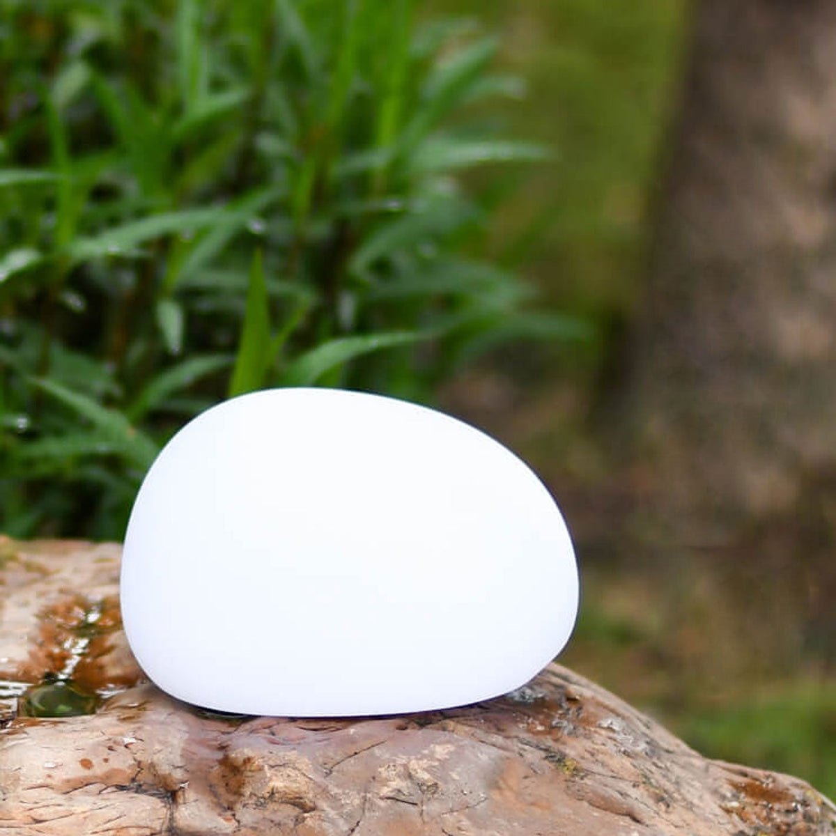 Solar-Powered LED Wall Sconce for Patios, Pathways & Gardens – Modern Weatherproof Outdoor Fixture in White – Automatic Dusk-to-Dawn Sensor