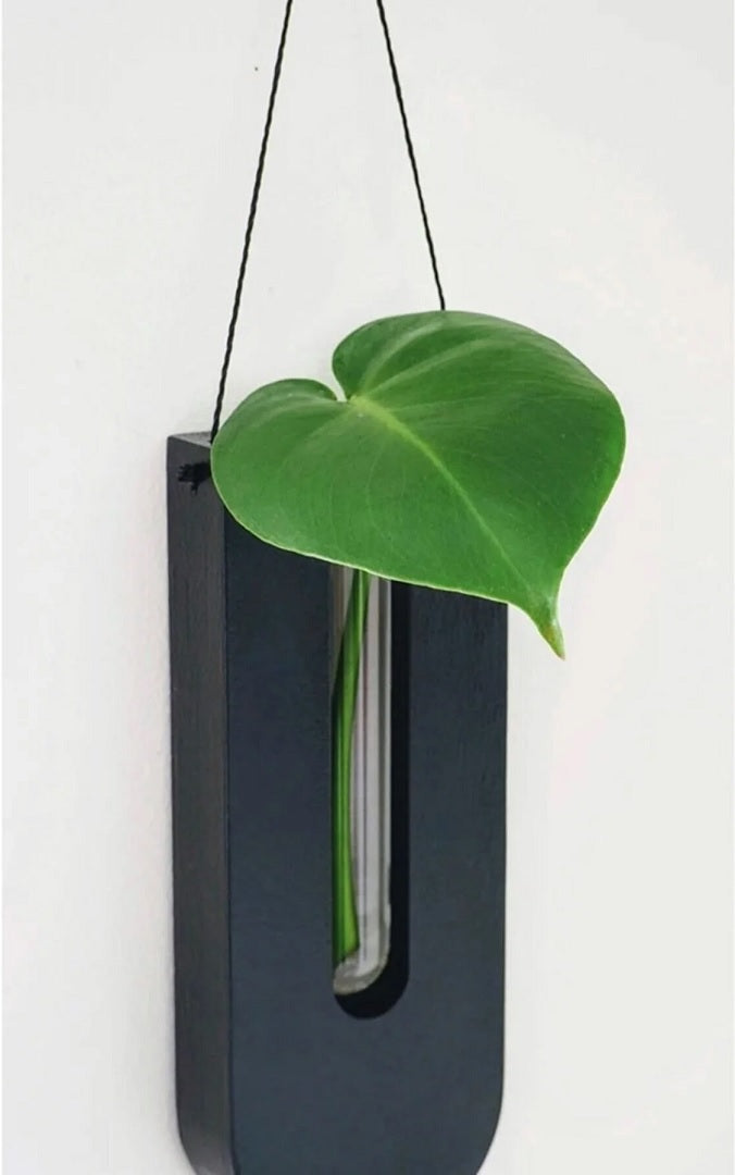 Pine Wood Plant Holder Set of 7 for Indoor Walls | Hanging Succulent Display | Natural Wood Wall Organizer for Air Plants & Dried Botanicals